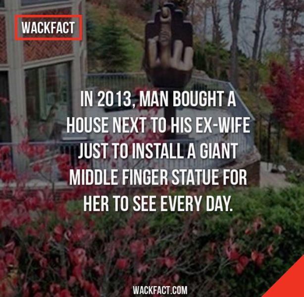 bizarre_facts_you_will_struggle_to_believe_640_08