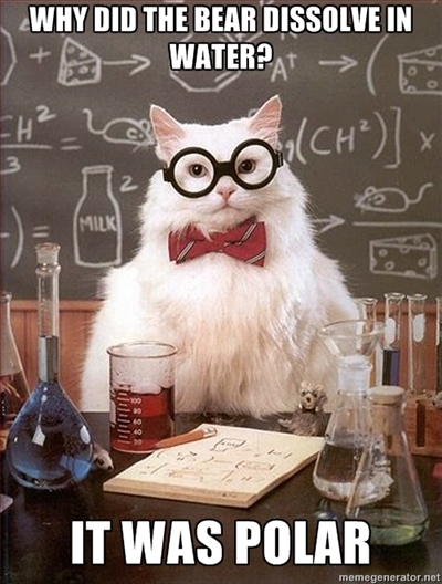 science-cat-008