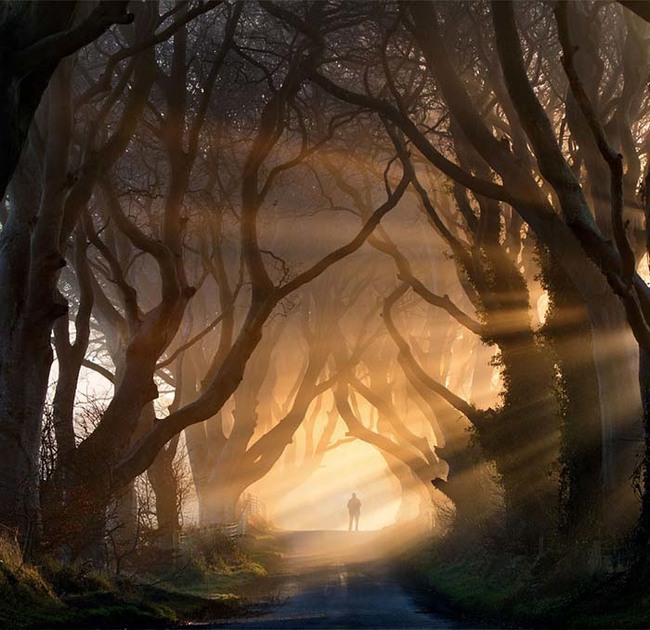 The Dark Hedges in Northern Ireland are dark, mysterious and beautiful, all at once.