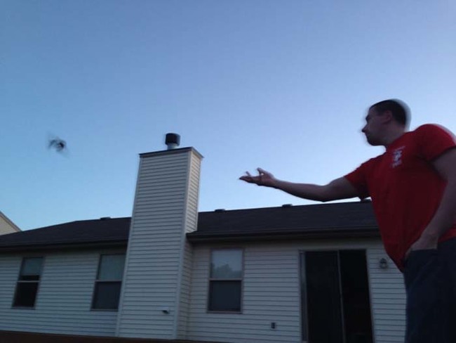 Their foster father even gave them flying lessons by gently tossing them in his yard.
