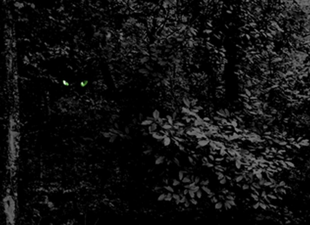 3.) One of the bloodiest battles of the war occurred at Chickamauga Battlefield. Now, it's home to one of the creepiest and most renowned ghost stories from that era. A spirit named "Green Eyes" haunts the woods. Some say he is a former soldier looking his decapitated head, others say he is a creature half-man, half-beast with glowing green eyes and sharp fangs.