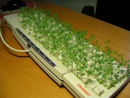 10.) Don't forget to trim your keyboard!