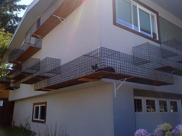 23. A safe outdoor catwalk that'll allow your kitties to roam. And make your house look awesome.