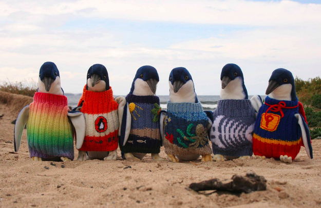 penguin-sweater-1