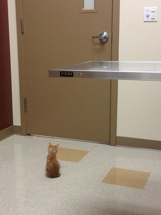 "I've been waiting for 20 MINUTES!"
