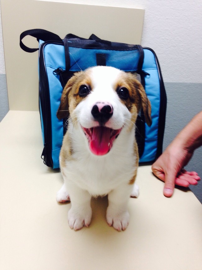 "I'm ready for my treats now!"