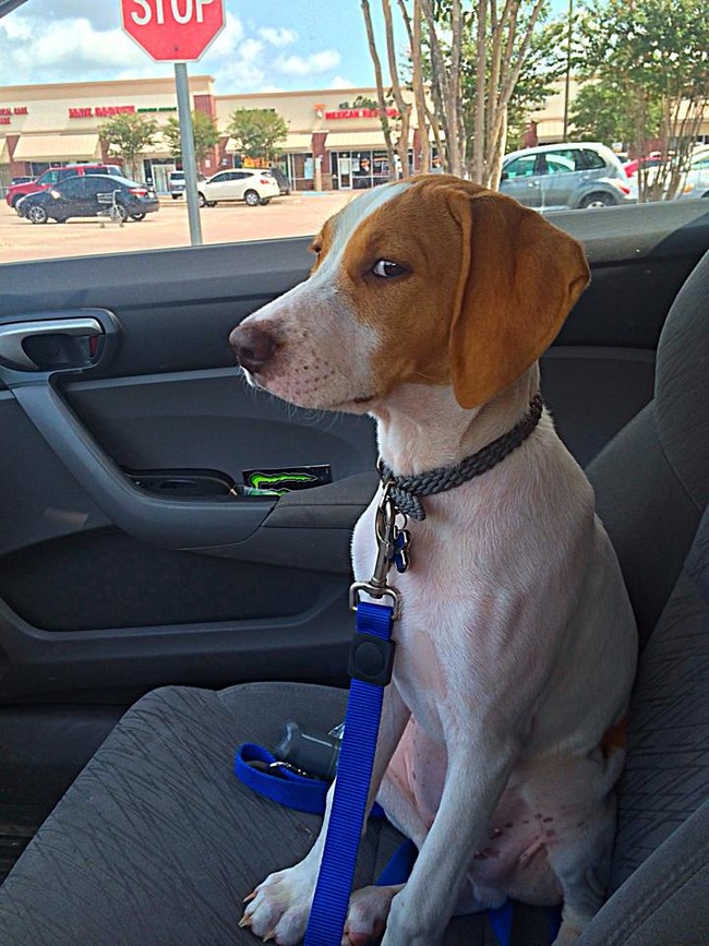 "...You said we were going to the park."