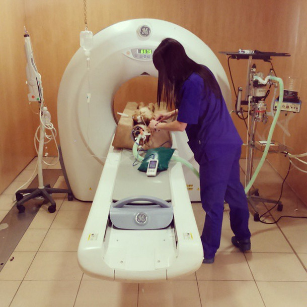 CAT scans are old news...PUP scans are all the rage now.