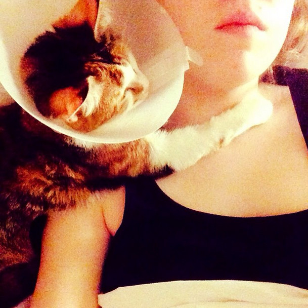 It just earns you extra affection when you get home!