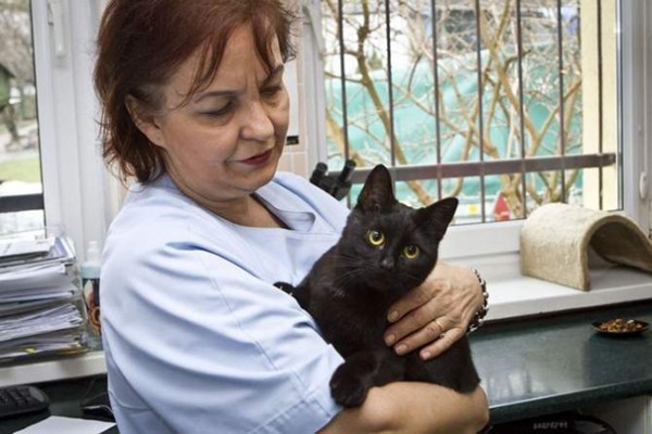 veterinary-nurse-cat-hugs-shelter-animals-radamenes-bydgoszcz-poland-2-600x400