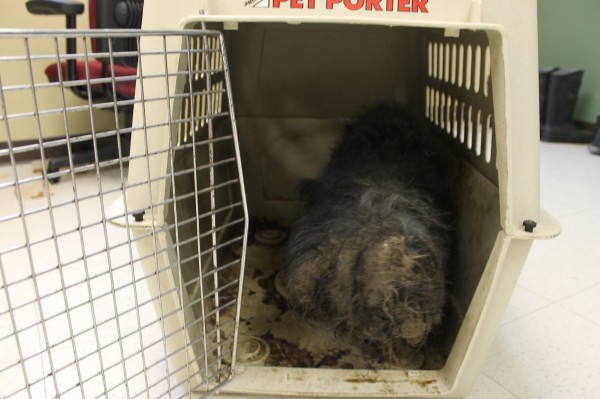 11110060_803952066378848_1269978313134558198_o-600x399