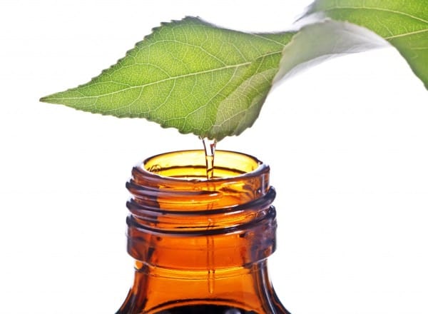 Tea-Tree-Oil-Bottle-1-1024x752-600x4401
