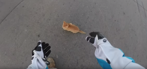 Screen-Shot-2015-10-21-at-7.40.48-AM-600x280