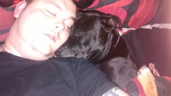 11813391_1641509242757092_7469995304138306331_n-600x336