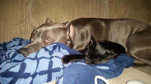 FB_IMG_1441128560413-600x337