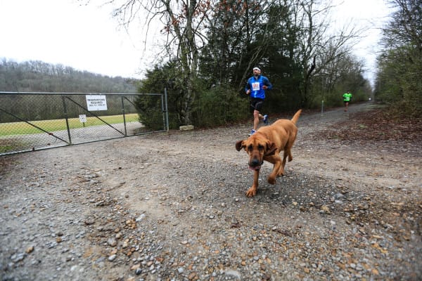 2016-Elkmont-Half-20-of-21-X2-600x400