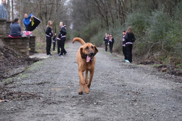 DSC_0499-X2-600x400