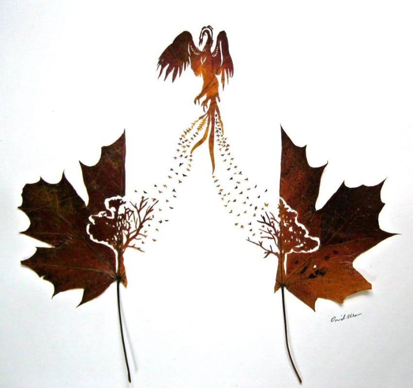 leaf-12-850x7991