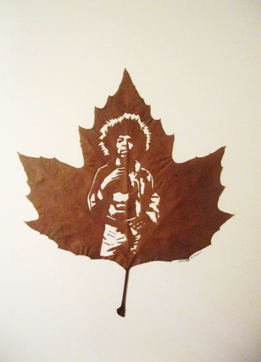 leaf-14-850x11811