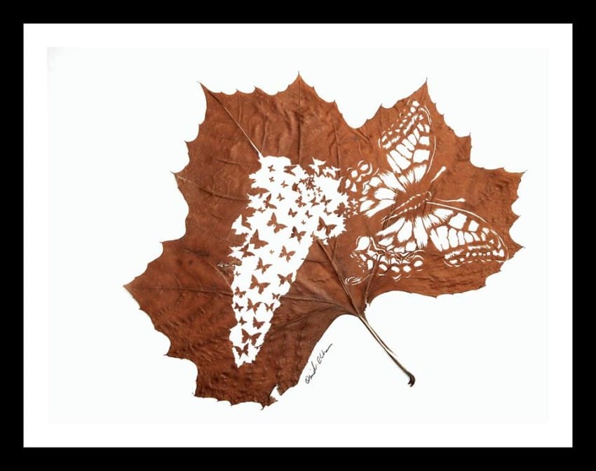 leaf-6-850x671