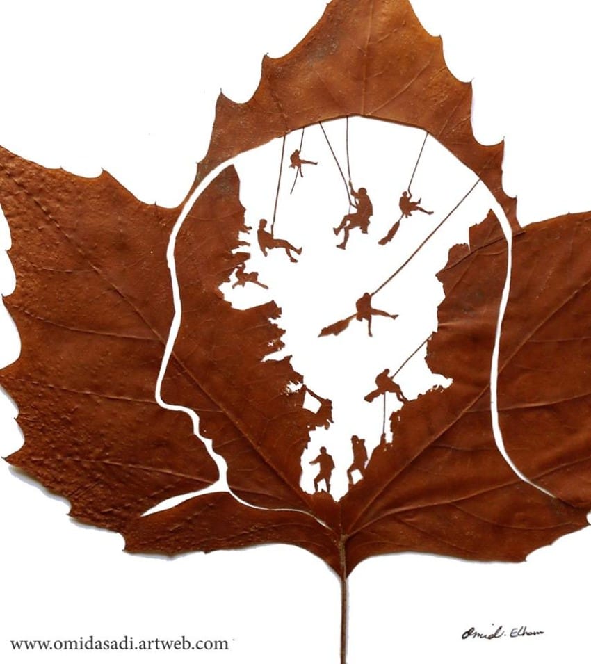 leaf-8-850x9551