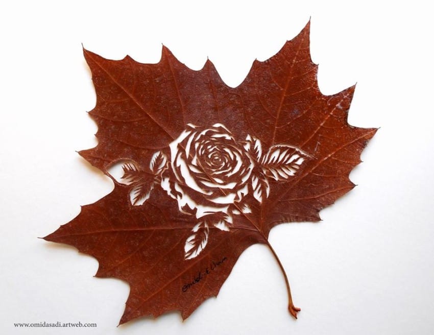 leaf-9-850x6561
