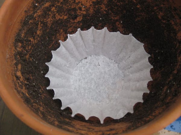 coffee-filter-hack-5-600x450
