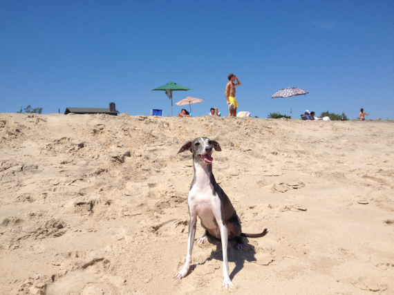 lou8-570x427