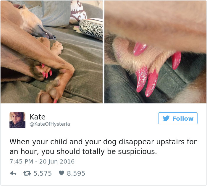 funniest-dog-tweets-2016-17-585a5a4aa11b7__700
