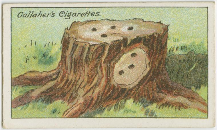vintage life hacks from the 1900s (5)