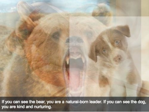 Maybe you saw the puppy or the bear first?