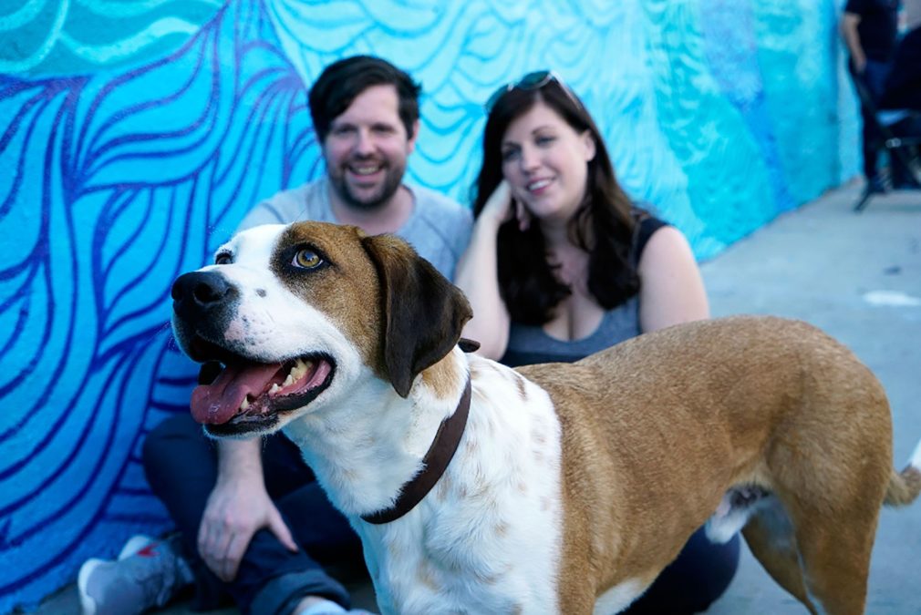 (ABC/Kelsey McNeal) NED