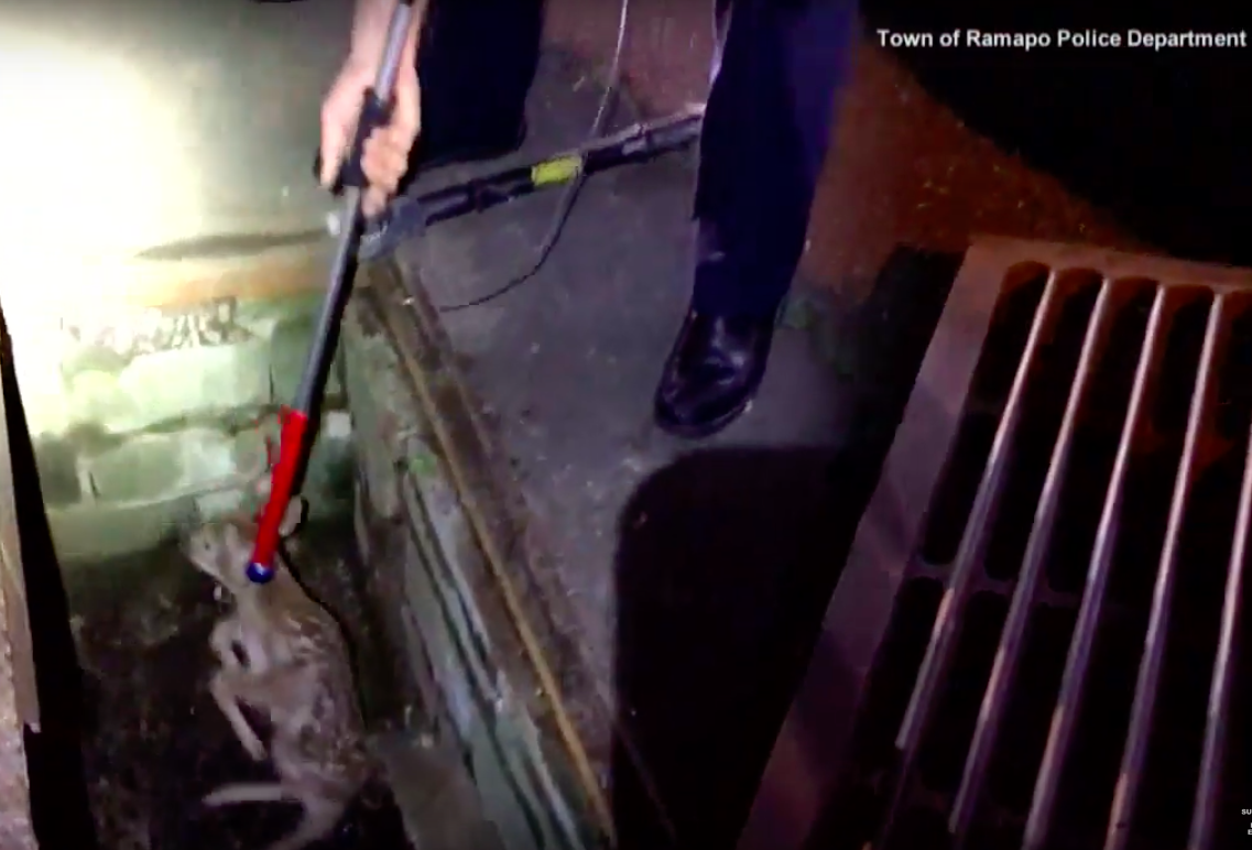 Screen Shot 2017-06-11 at 8.34.20 PM