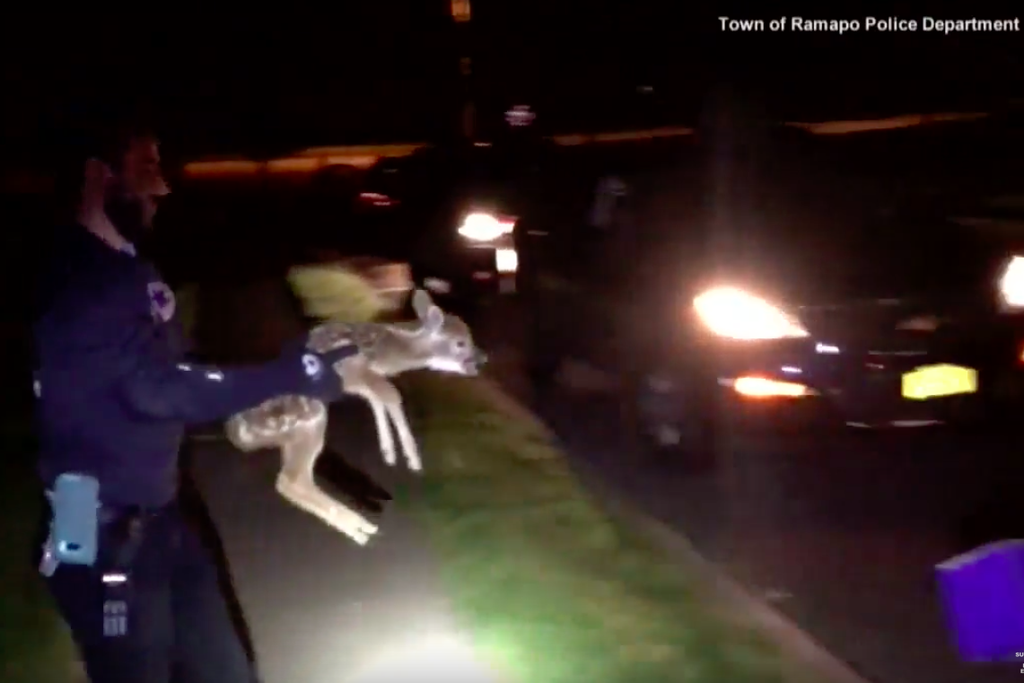 Screen Shot 2017-06-11 at 8.35.07 PM