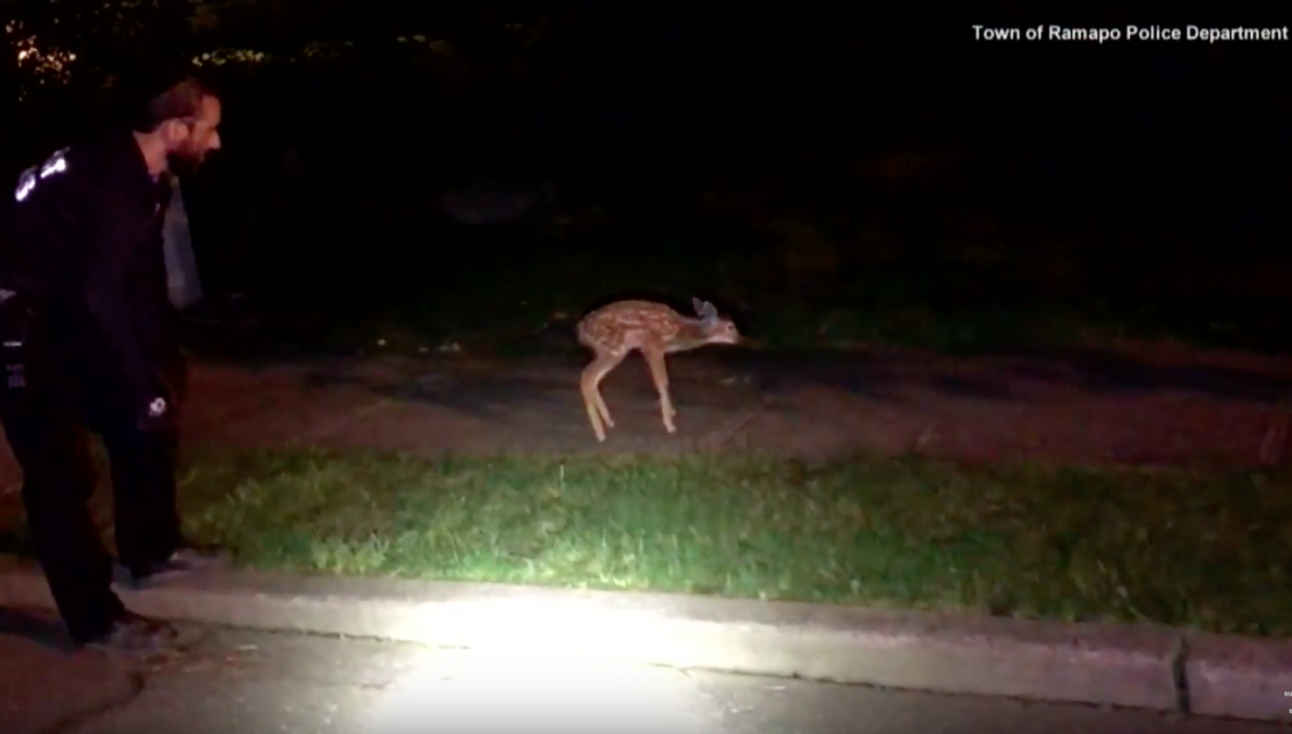 Screen Shot 2017-06-11 at 8.35.38 PM