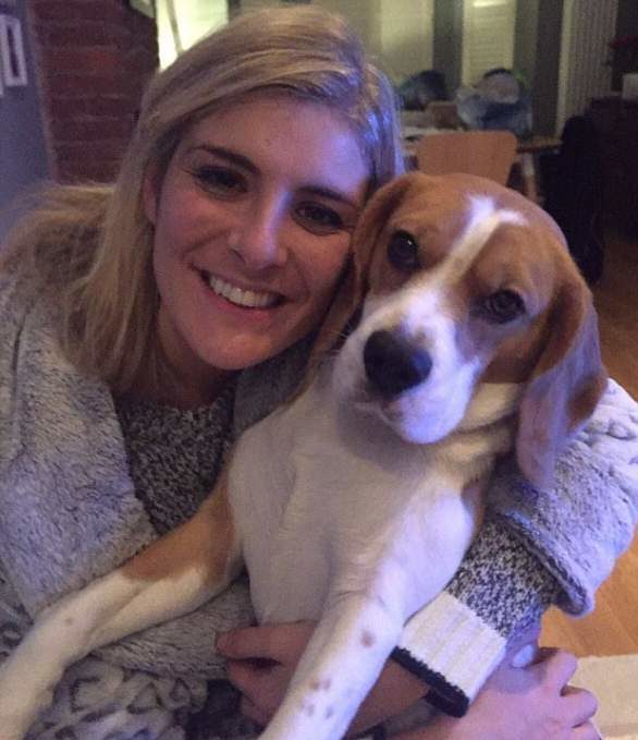 Beagle